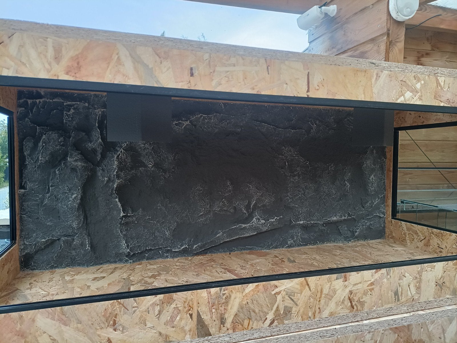 Nieuw osb3 terrarium 120/50/50 met zijramen en achterwand, Ophalen of Verzenden, Nieuw