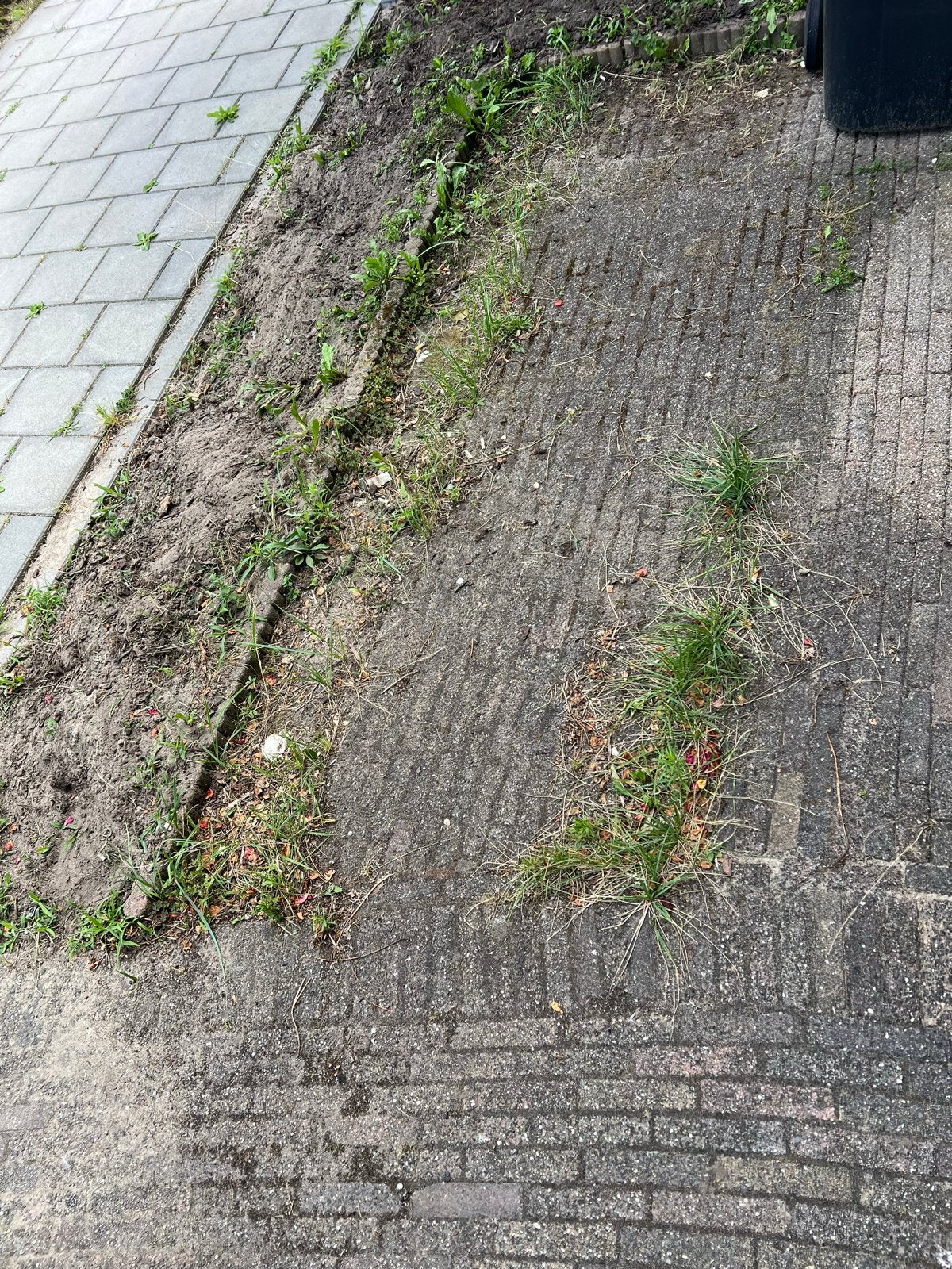 Kleine tegeltjes gratis op te halen, Ophalen, Overige materialen, Gebruikt, Overige typen