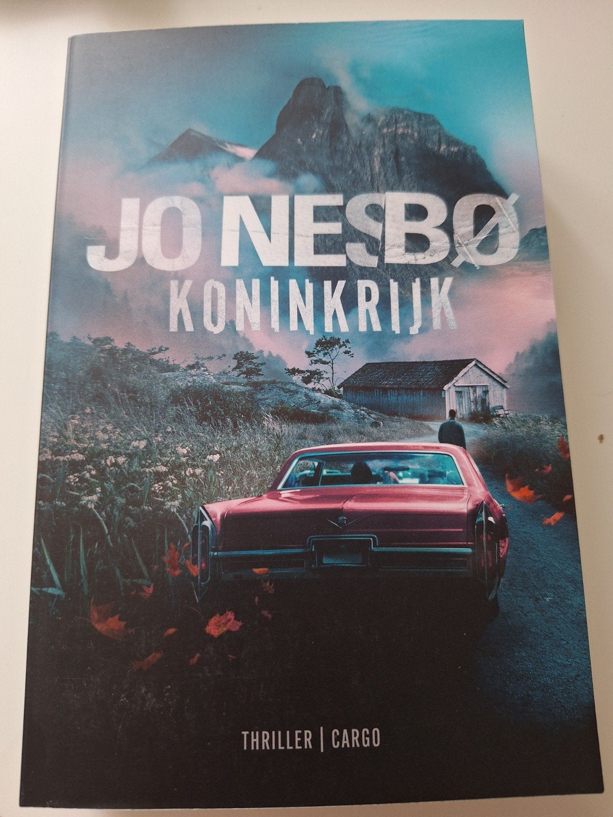 Jo Nesbø - Koninkrijk (Thriller), Boeken, Thrillers, Ophalen of Verzenden, Zo goed als nieuw, Jo Nesbø, Scandinavië