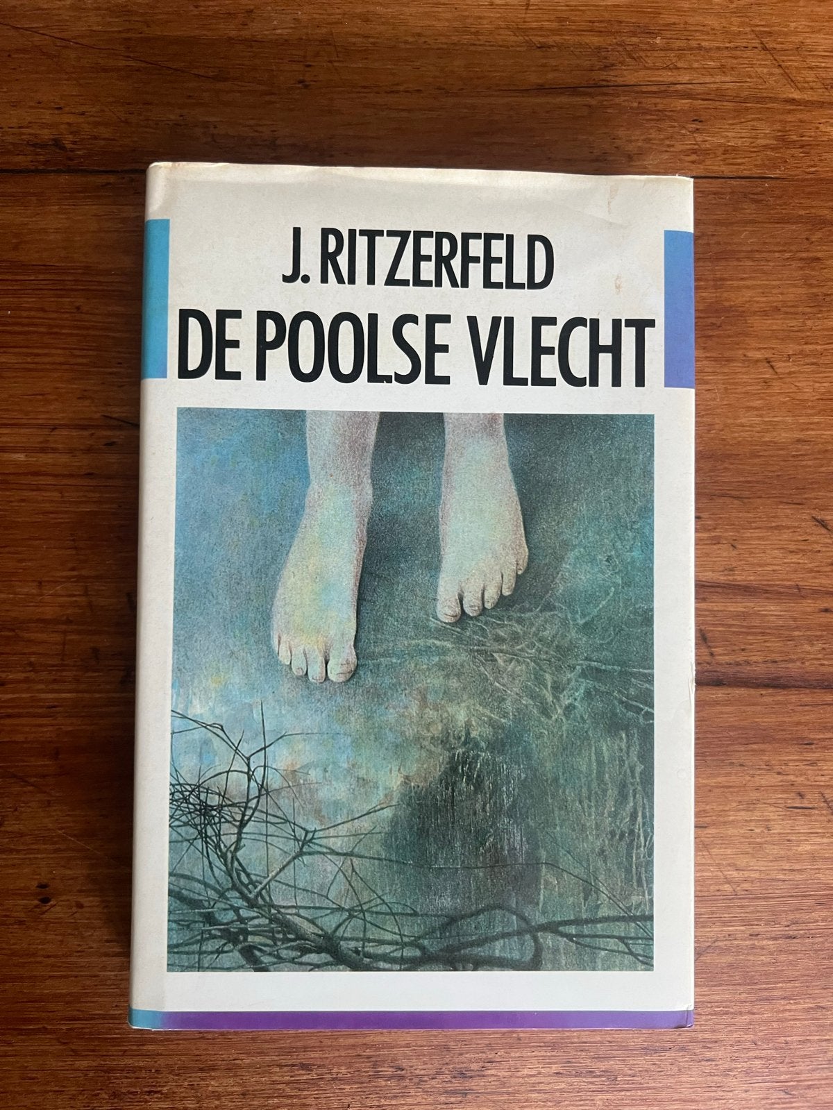 De Poolse Vlecht - J. Ritzerfeld, Ophalen of Verzenden, Gelezen, Nederland