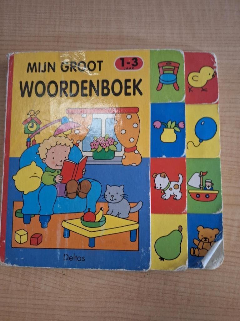 boek mijn groot woordenboek, Ophalen of Verzenden, Gelezen, 6 tot 12 maanden