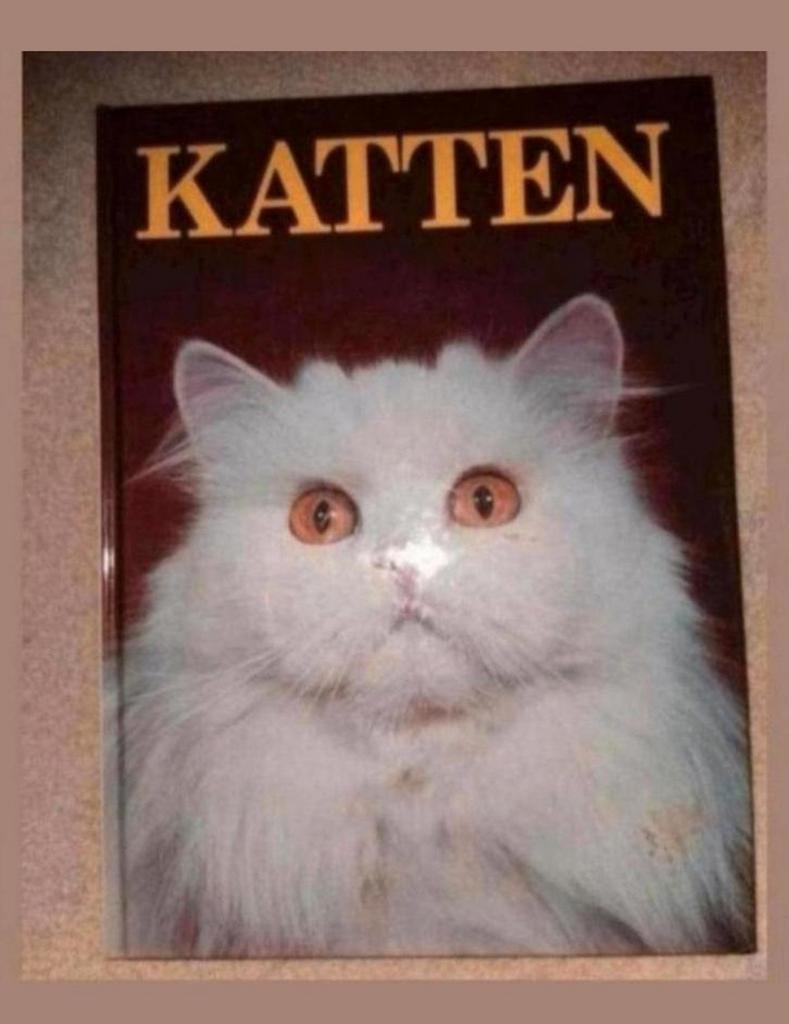 Katten - Angela Sayer, Ophalen of Verzenden, Zo goed als nieuw, Angela Sayer