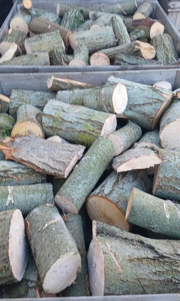 Mooie bulletjes HAARDHOUT wilg- en elzenhout, Tuin en Terras, 6 m³ of meer, Ophalen of Verzenden, Overige houtsoorten, Blokken