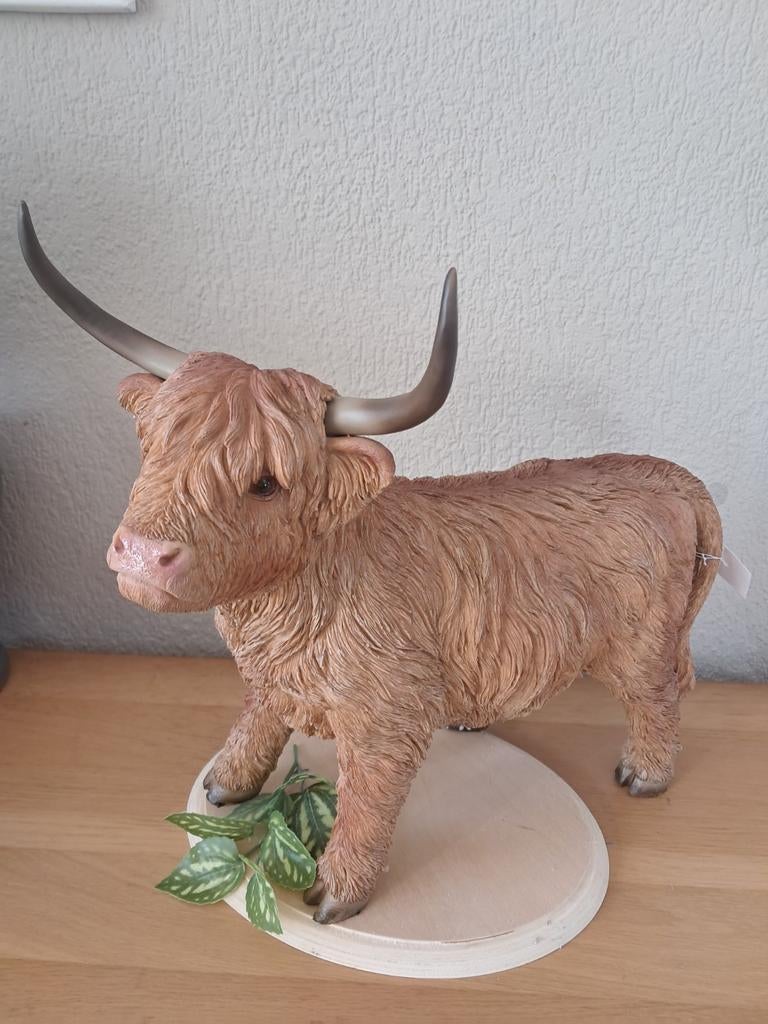 Mooi nieuw kwaliteits beeld van de schotse hooglander te koo, Ophalen of Verzenden, Nieuw, Dier