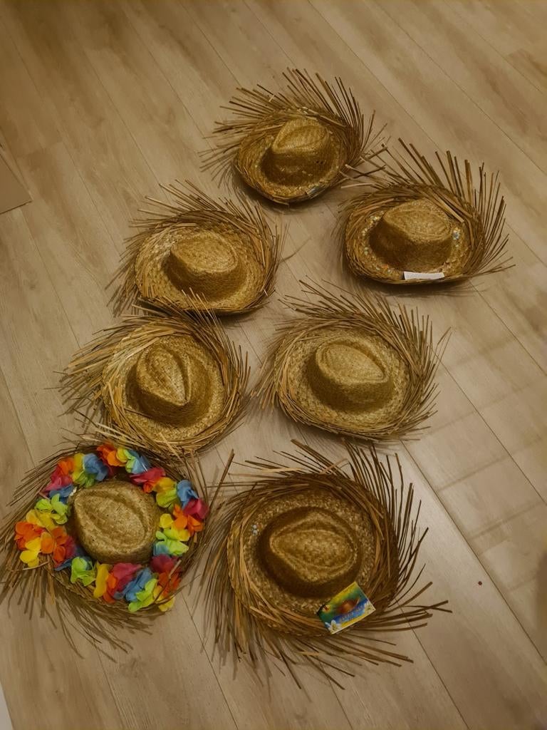 Carnaval strohoeden western vogelverschrikker country, Ophalen of Verzenden, Zo goed als nieuw, Carnaval, Accessoires