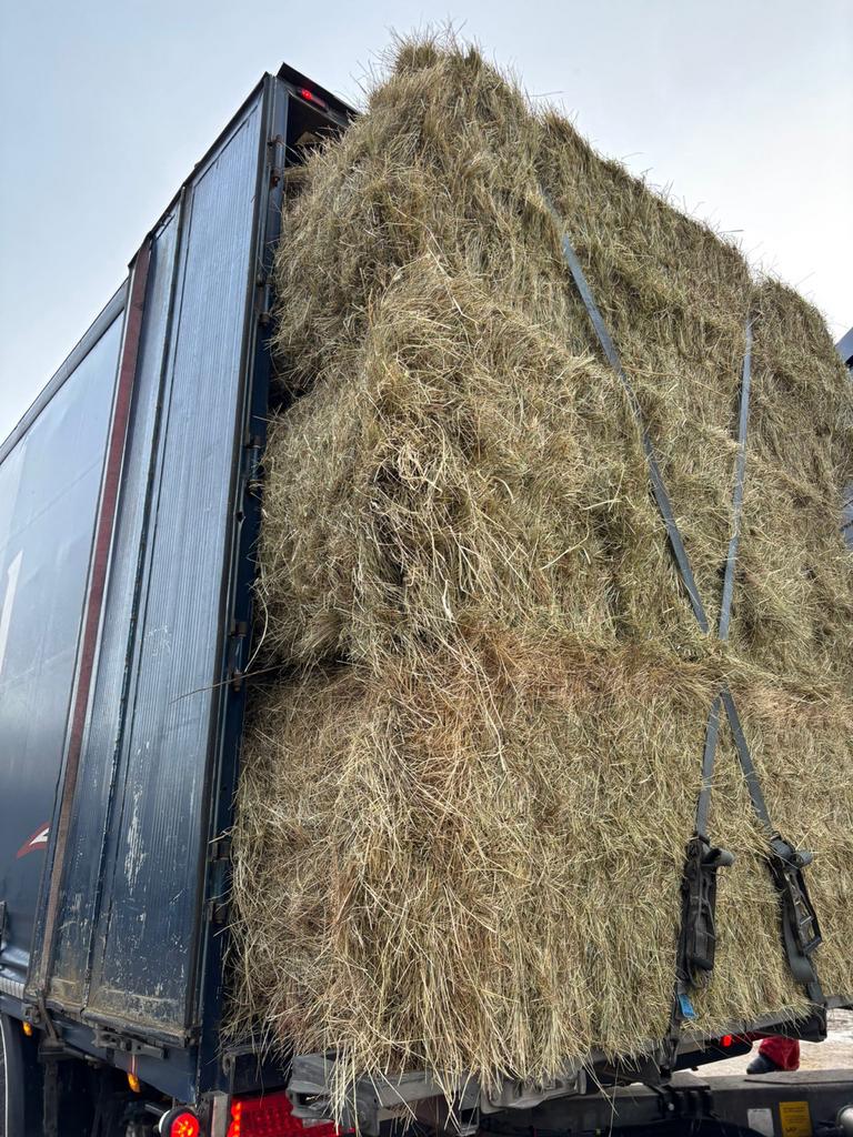 Kruidenhooi Paardenhooi Hooi grote balen Voordroog, Dieren en Toebehoren, Dierenvoeding, Ophalen, Overige soorten
