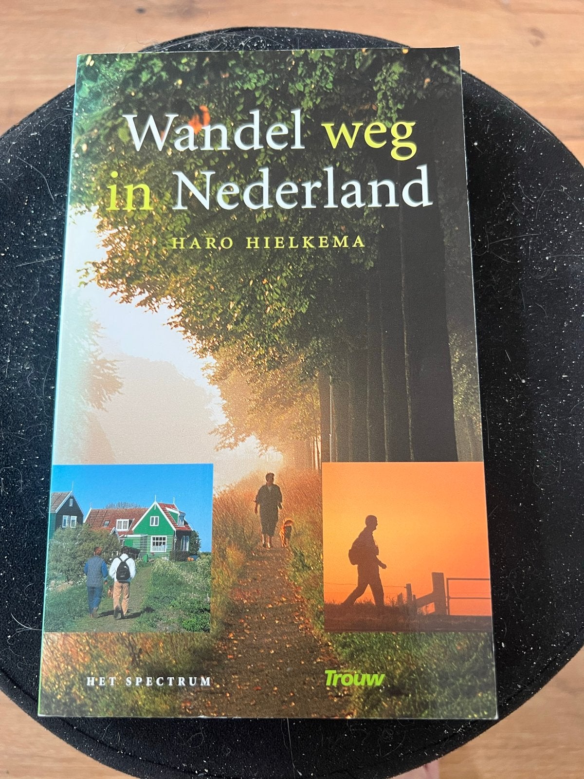 Wandel weg in Nederland - Haro Hielkema, Overige merken, Fiets- of Wandelgids, Ophalen of Verzenden, Zo goed als nieuw