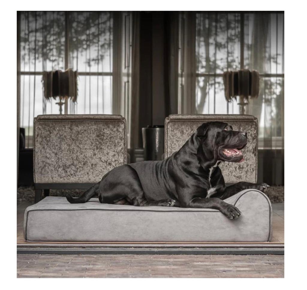 Bully bed xxl, Dieren en Toebehoren, Hondenmanden, Zo goed als nieuw, Overige, Ophalen of Verzenden