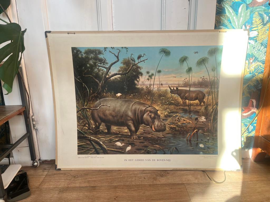 Vintage schoolplaat in het gebied van de bovennijl, Ophalen