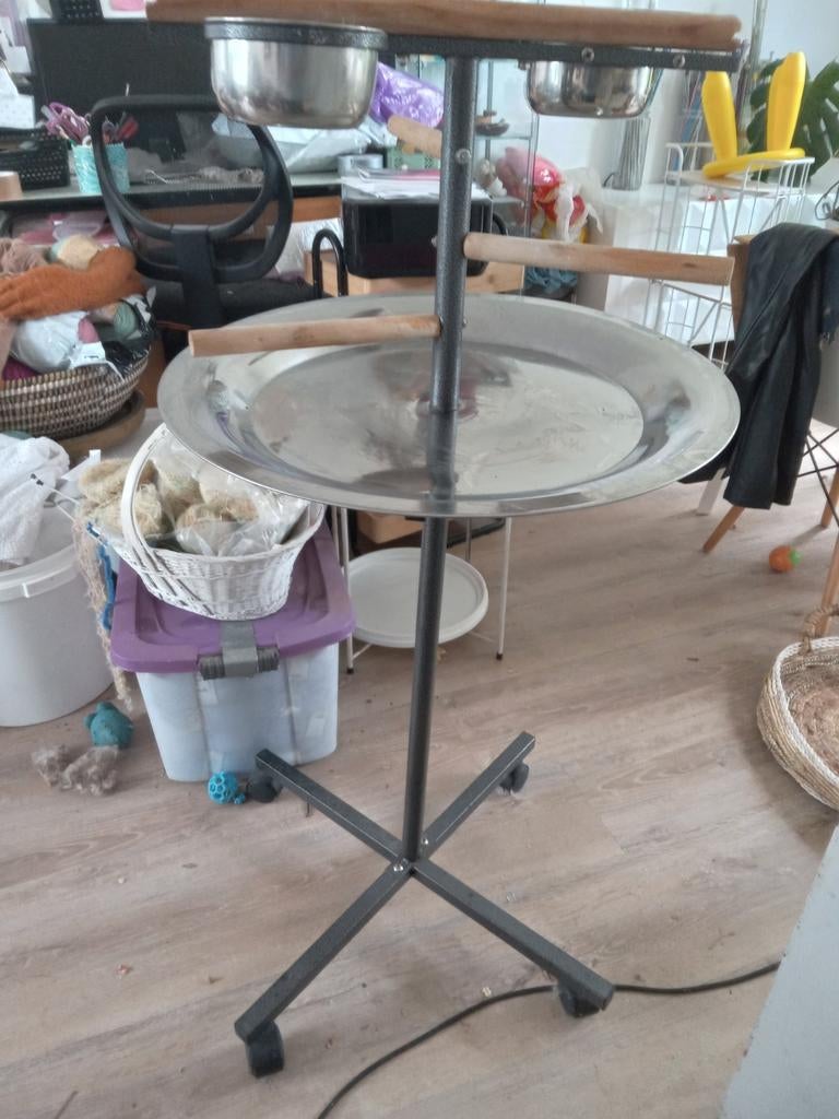 Papegaaienstandaard, Dieren en Toebehoren, Parkiet