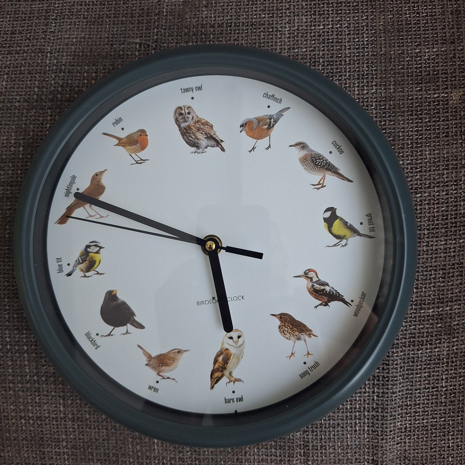 Klok met elk uur weer een ander vogelgeluid., Ophalen, Nieuw, Wandklok