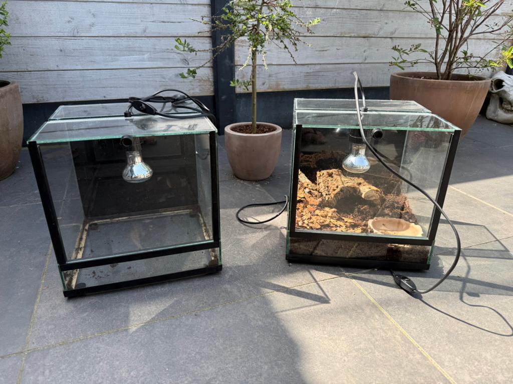 2x terrarium 30x30x30 incl keramische fitting, Dieren en Toebehoren, Reptielen en Amfibieën | Toebehoren, Ophalen, Gebruikt, Terrarium of Paludarium