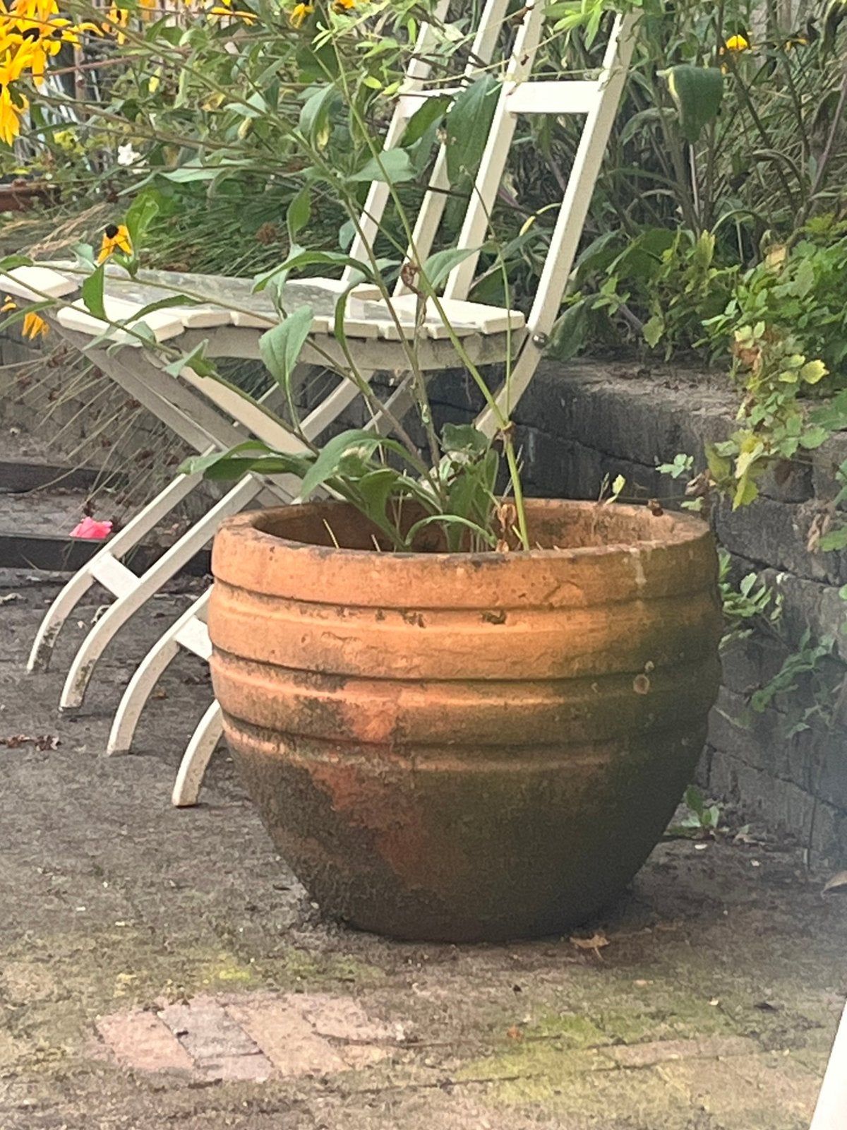 Gratis terracotta pot (gereserveerd tot vrijdag), Steen, Minder dan 30 cm, Rond, Ophalen of Verzenden