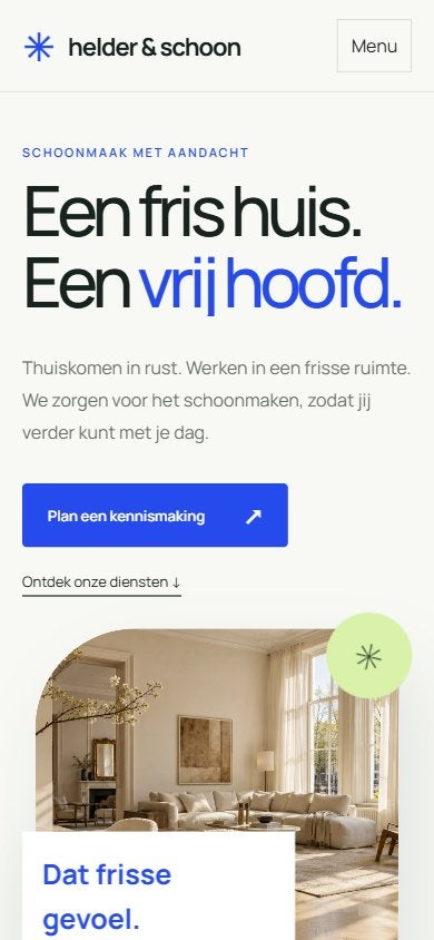 Complete schoonmaakwebsite + domein | €249, Website Bouw