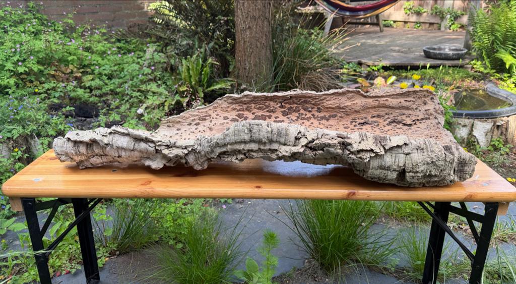 Decoratieve kurk bast - waterdicht en veelzijdig, Huis en Inrichting, Ophalen, Gebruikt, Landelijk, Natuurlijk materiaal
