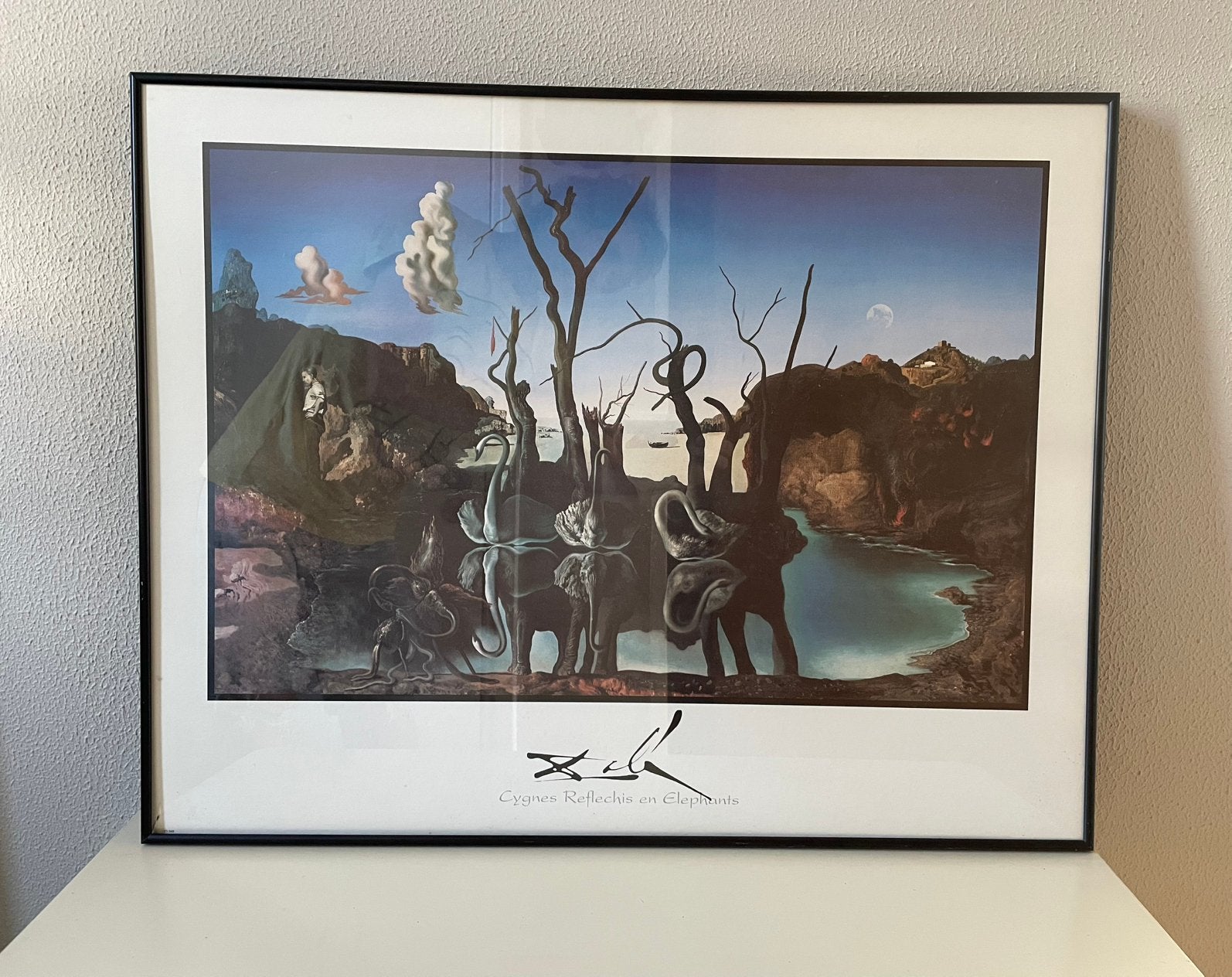 Salvador Dali: swans refelcting elephants- poster in frame, Huis en Inrichting, Ophalen, Gebruikt, Foto of Poster