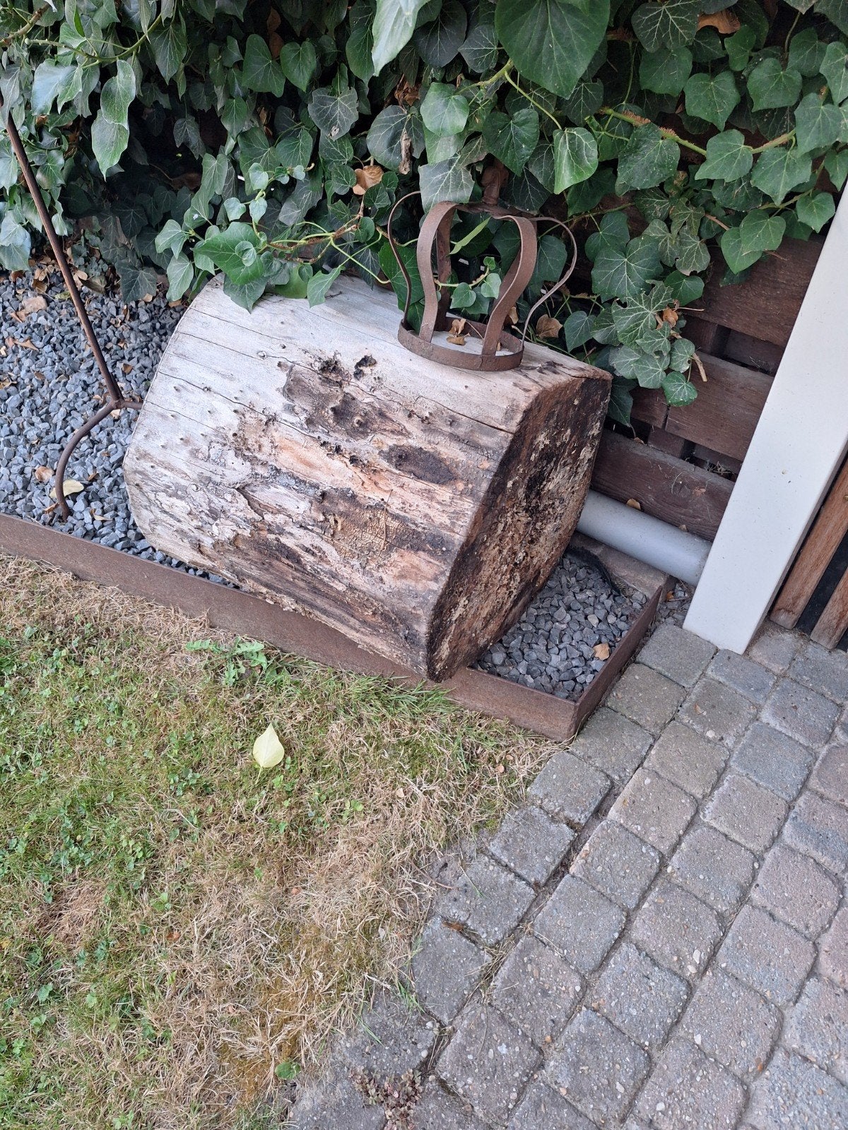 houtblokken en stammen van de iep!, Tuin en Terras, Haardhout, Minder dan 3 m³, Ophalen, Overige houtsoorten, Blokken