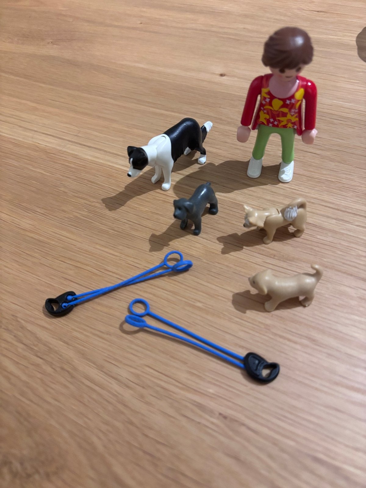 Playmobil 5380 Hondenuitlaatservice, Ophalen of Verzenden, Zo goed als nieuw, Jongen of Meisje
