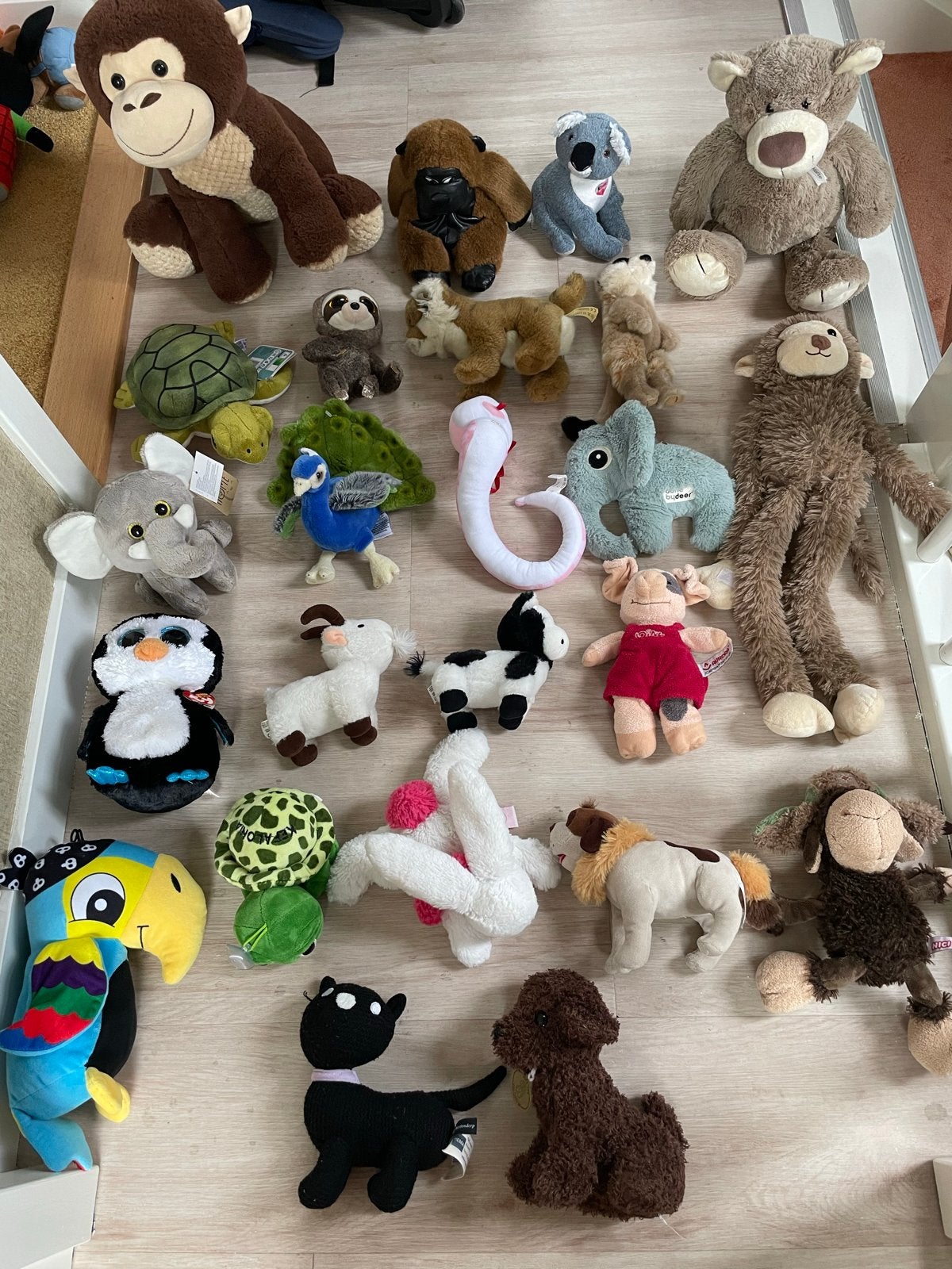 Grote collectie dieren knuffels, Gebruikt, Disney, Ophalen of Verzenden, Klein (minder dan 20 cm)