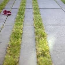 GRATIS 10 x Grasbetontegels 60 x 54 x 12, Tuin en Terras, Ophalen, Gebruikt, Overige typen, Minder dan 5 m²