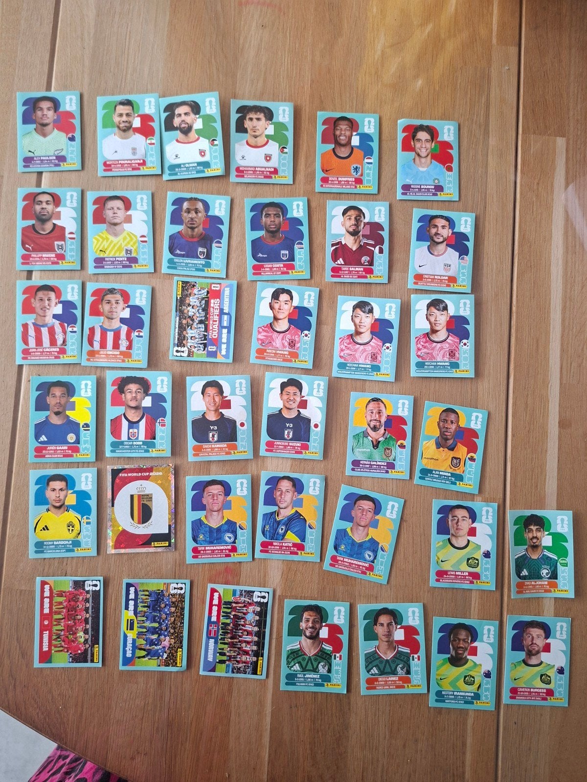 Panini wk 2026 stickers, Ophalen of Verzenden, Meerdere stickers