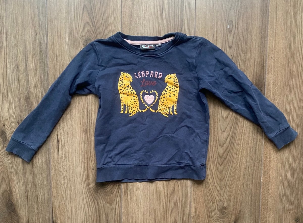 Longsleeve leopard maat 110/116, Kinderen en Baby's, Kinderkleding | Maat 110, Ophalen of Verzenden, Zo goed als nieuw, Meisje