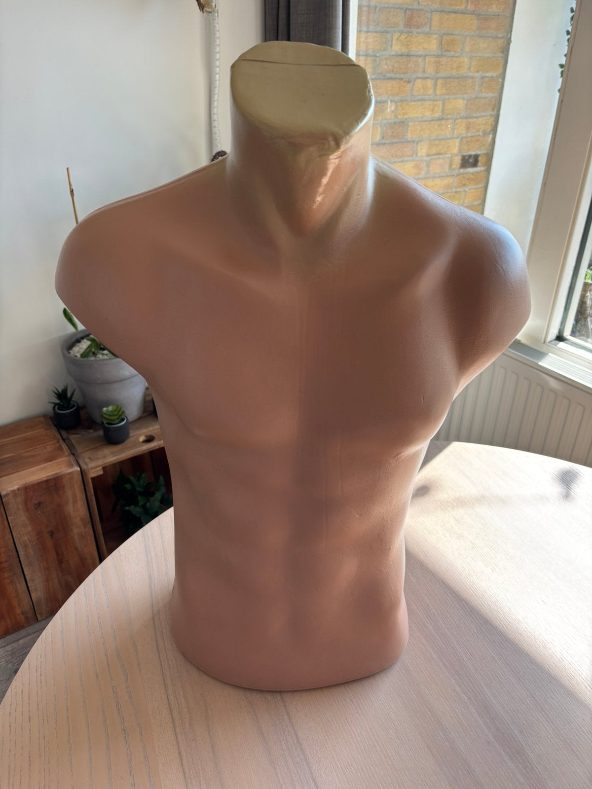 Torso man voor presentatie doeleinden, Ophalen, Zo goed als nieuw