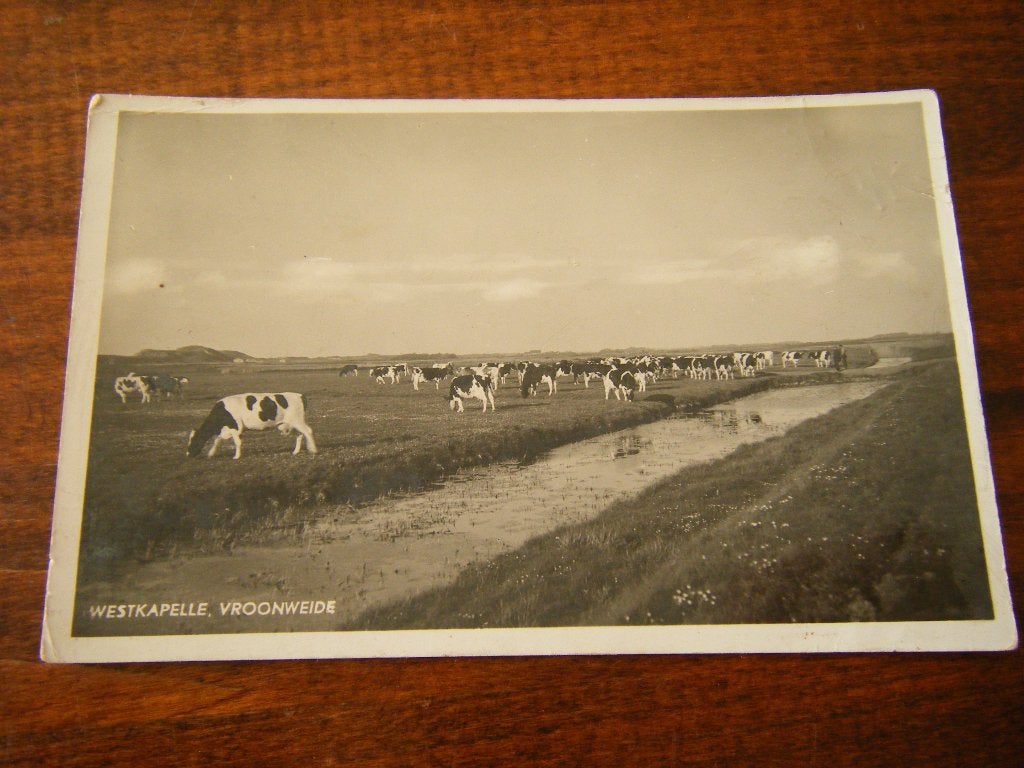 R41 - Westkapelle - Vroonweide - Oud, Ophalen of Verzenden, 1940 tot 1960, Zeeland