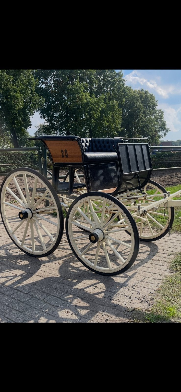 Spyder enkel en tweespan, Zo goed als nieuw, Marathonwagen, Paard