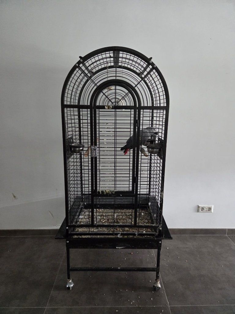 Gezocht vogelkooien, Ophalen of Verzenden, Gebruikt, Metaal, Vogelkooi