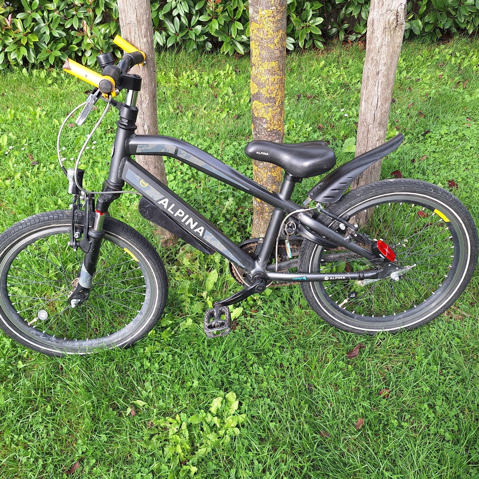 Alpine Trial fiets 20 inch., Ophalen, Gebruikt, Staal, 20 tot 24 inch