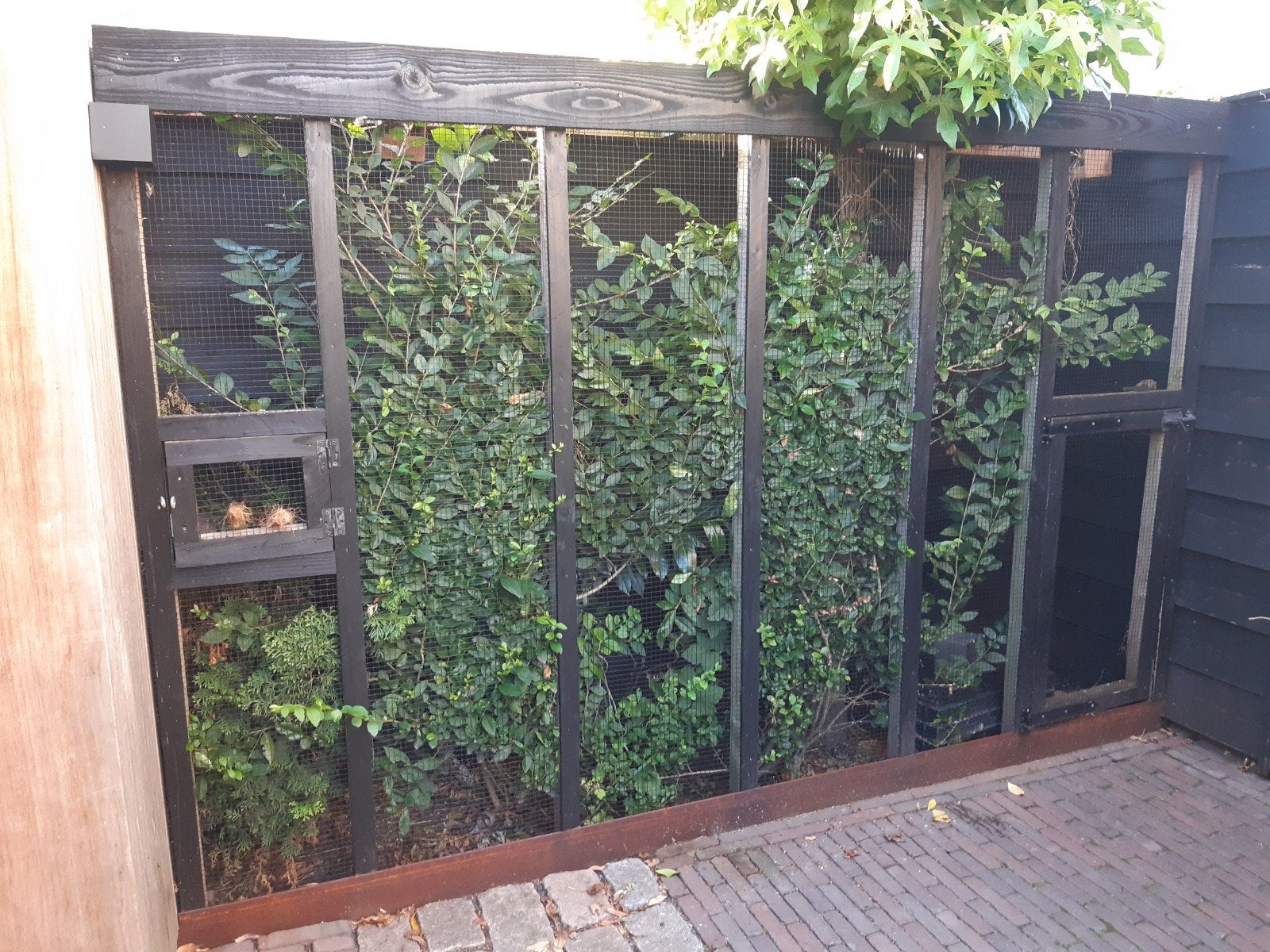douglas voorfront voliere, Ophalen, Gebruikt, Hout, Volière