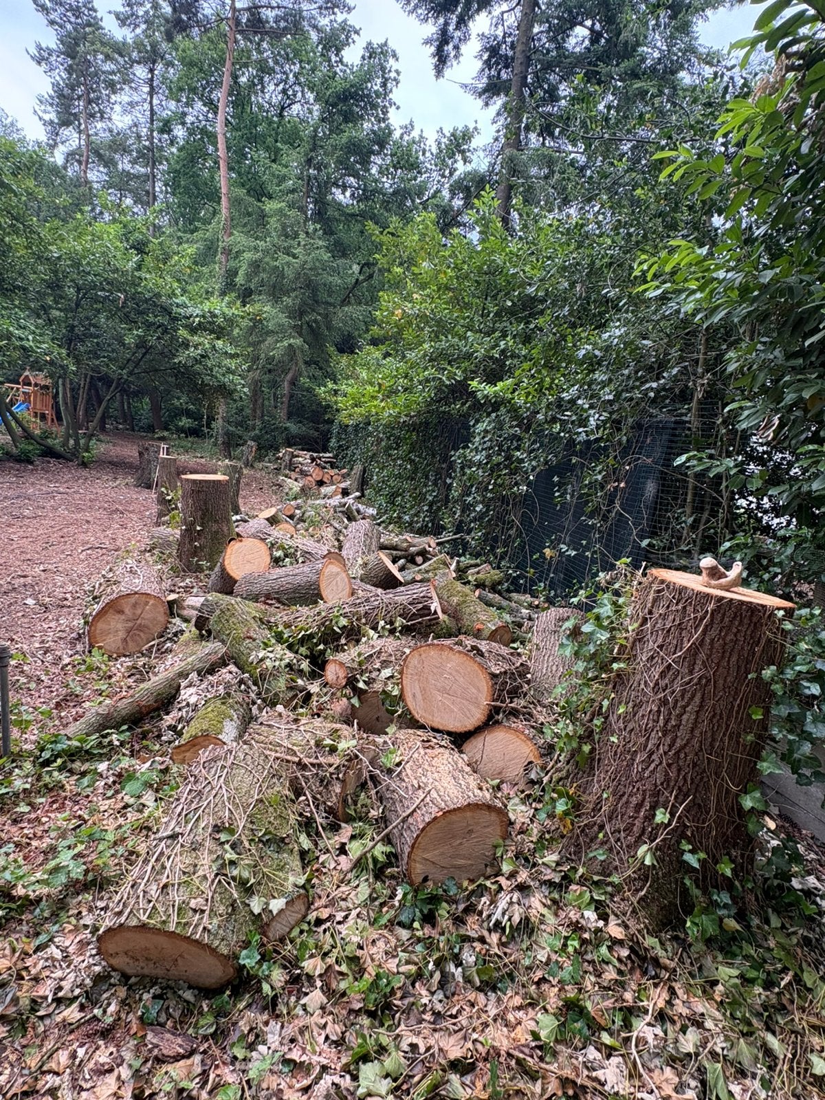20 kuub eik berk, Tuin en Terras, Haardhout, 6 m³ of meer, Ophalen of Verzenden, Stammen