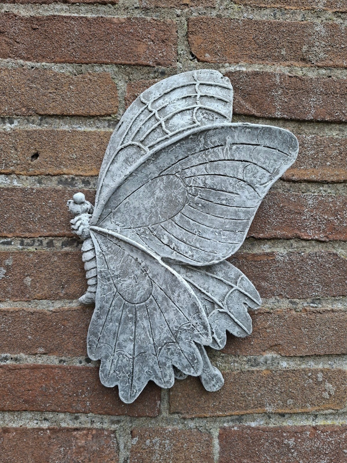 Vlinder wanddecoratie betonnen beeld tuinbeeld beton, Ophalen of Verzenden