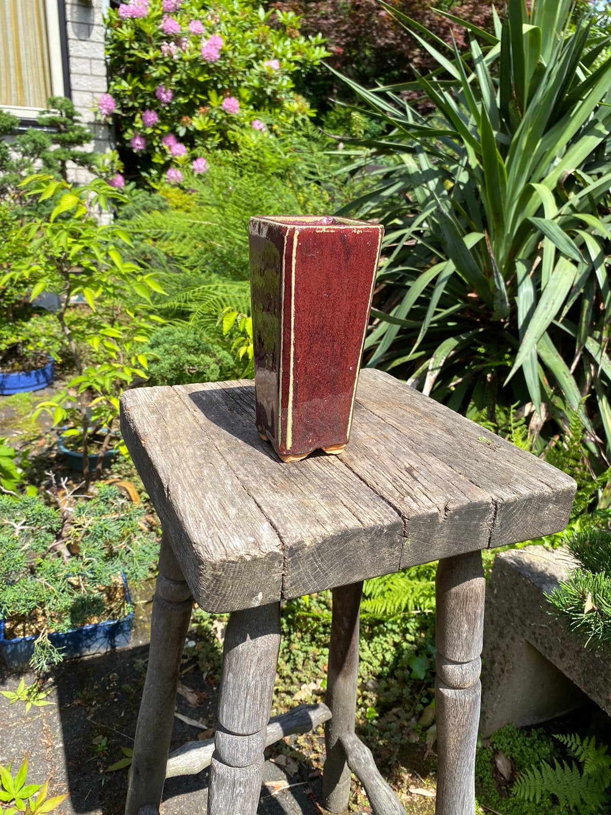 Bonsai Cascadepot, Ophalen of Verzenden, Zo goed als nieuw
