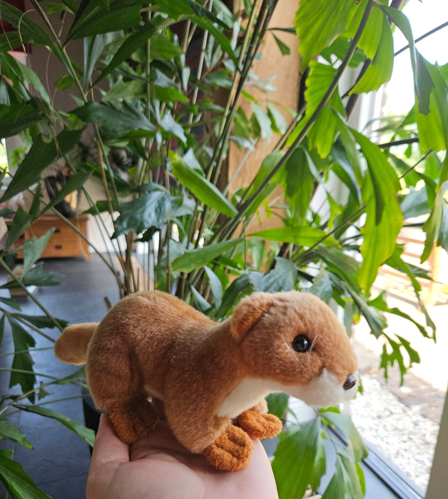 WWF wnf wezel hermelijn knuffel, Ophalen of Verzenden, Zo goed als nieuw, Overige typen