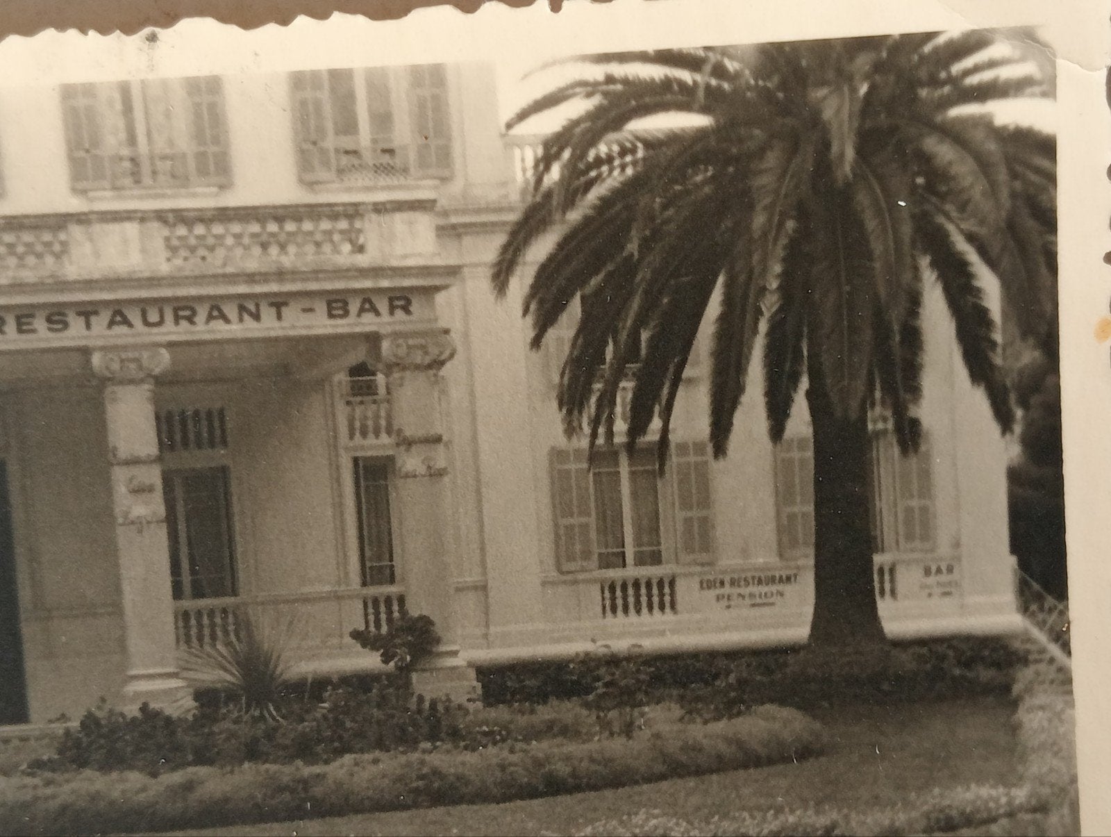 Gebouw met palmbomen Frankrijk jaren 50, Ophalen of Verzenden, 1940 tot 1960, Gebruikt, Overige onderwerpen