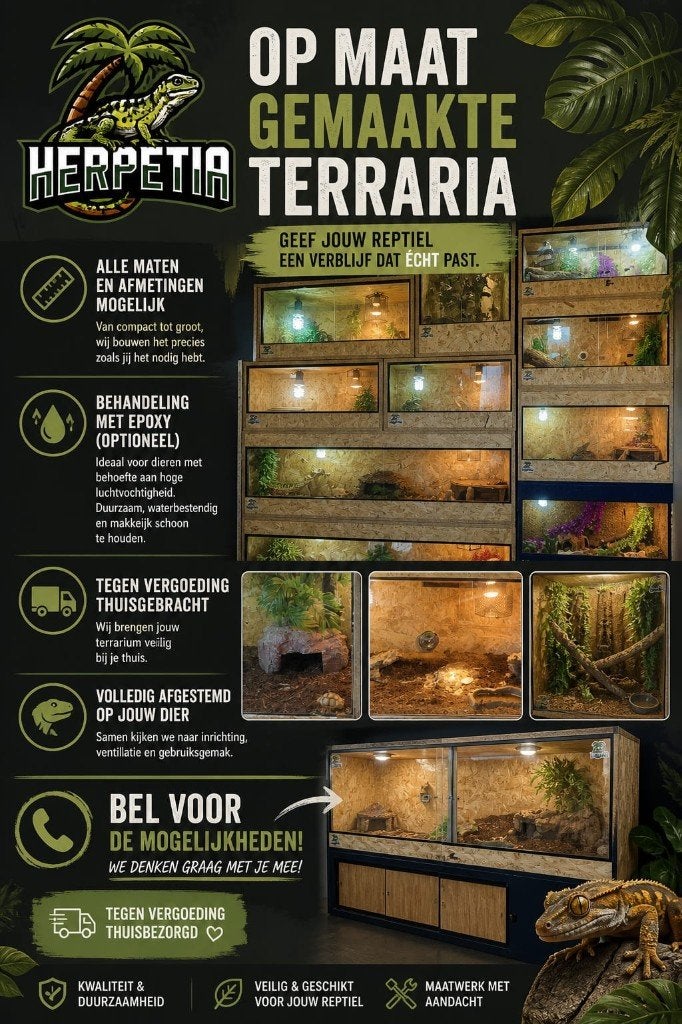 Op maat gemaakte OSB3 terrariums, Dieren en Toebehoren, Reptielen en Amfibieën | Toebehoren, Ophalen, Nieuw, Terrarium of Paludarium