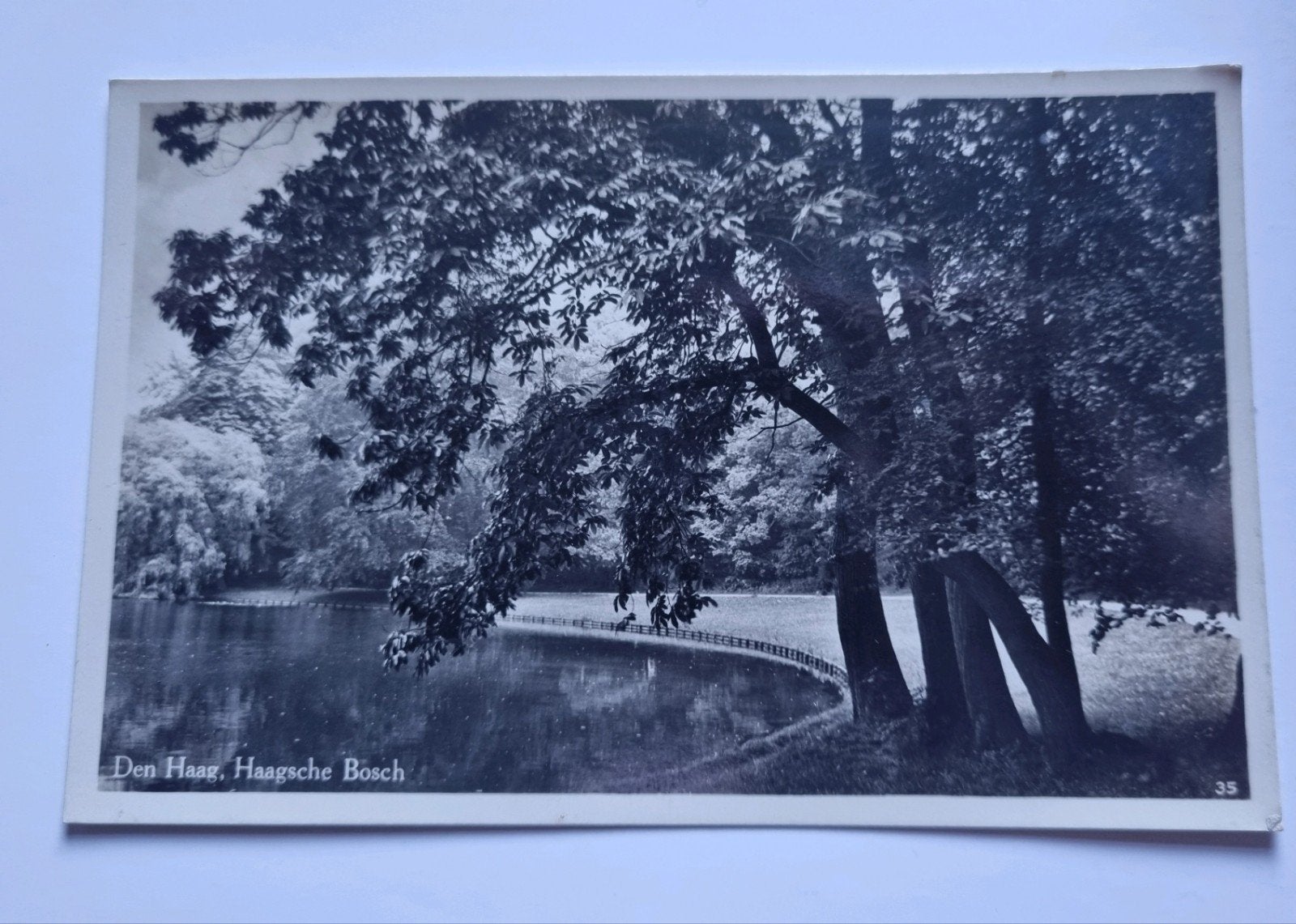 Den Haag, Haagse Bosch. ca 1920 .Ongelopen, Ophalen of Verzenden, Voor 1920, Ongelopen, Zuid-Holland