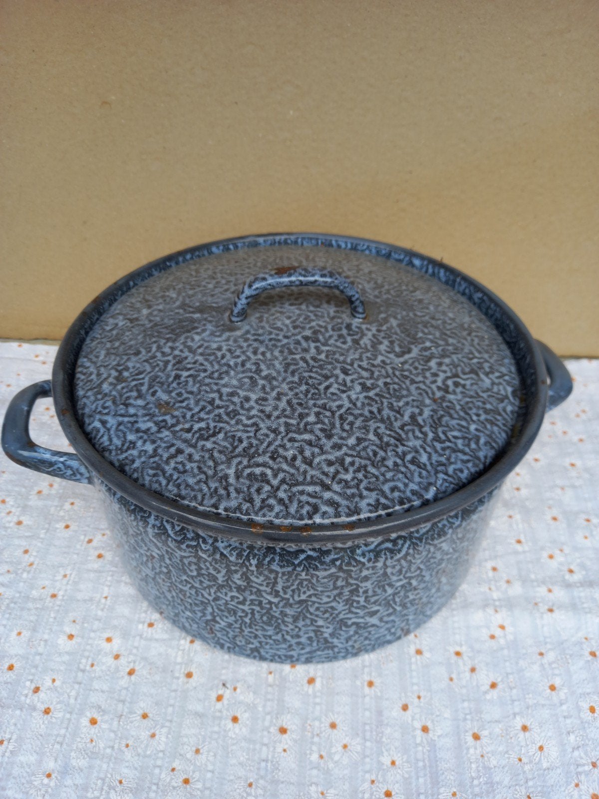 Grote grijs emaille pan., Ophalen of Verzenden