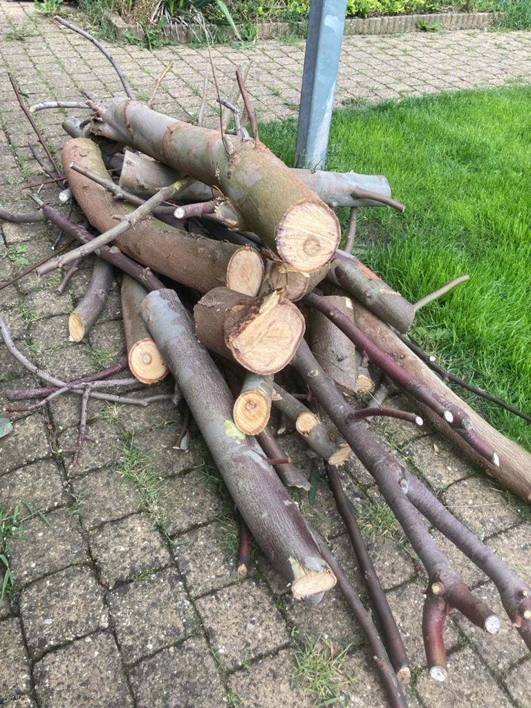 Brandhout: Stammen en Takken, Tuin en Terras, Haardhout, Minder dan 3 m³, Ophalen, Overige houtsoorten, Stammen