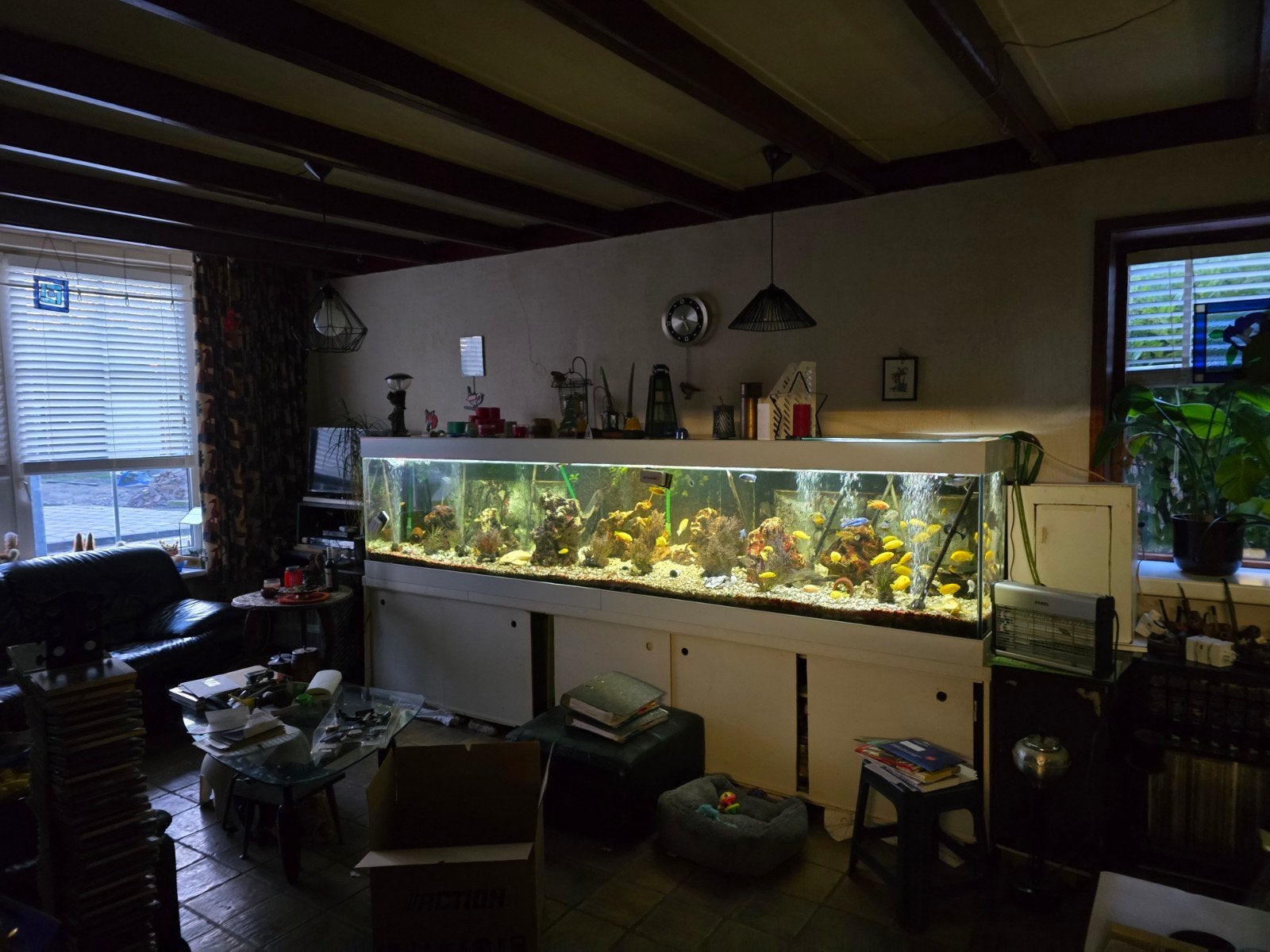 div. aquaria met onderdelen en 2 piranha's gratis af te hale, Ophalen, Gebruikt, Overige typen
