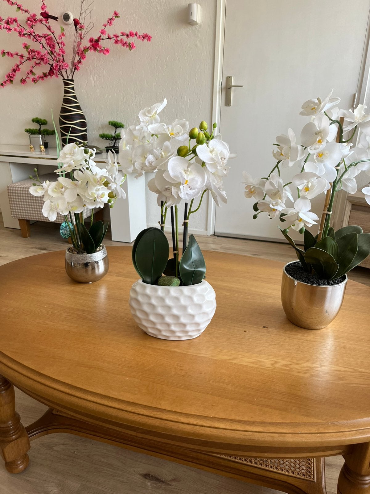 Orchideeënfamilie Plant, Ophalen, Binnen, Gebruikt, Kunstplant