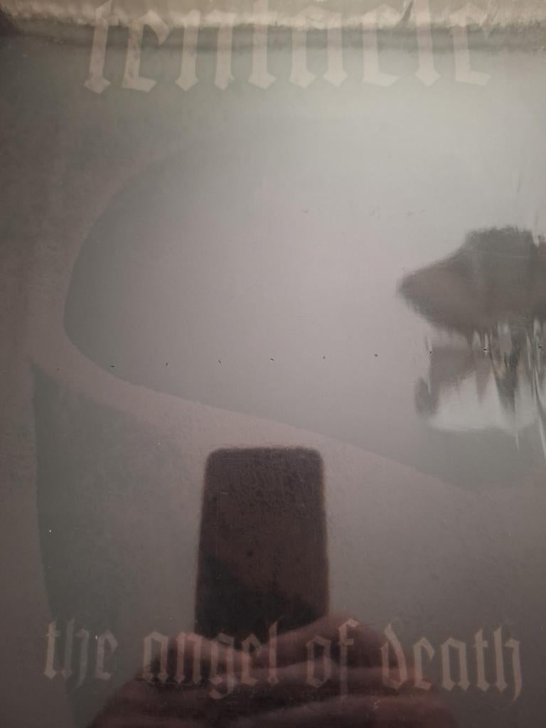 Tentacle: The angel of death, Verzenden, Zo goed als nieuw, 12 inch, Poprock
