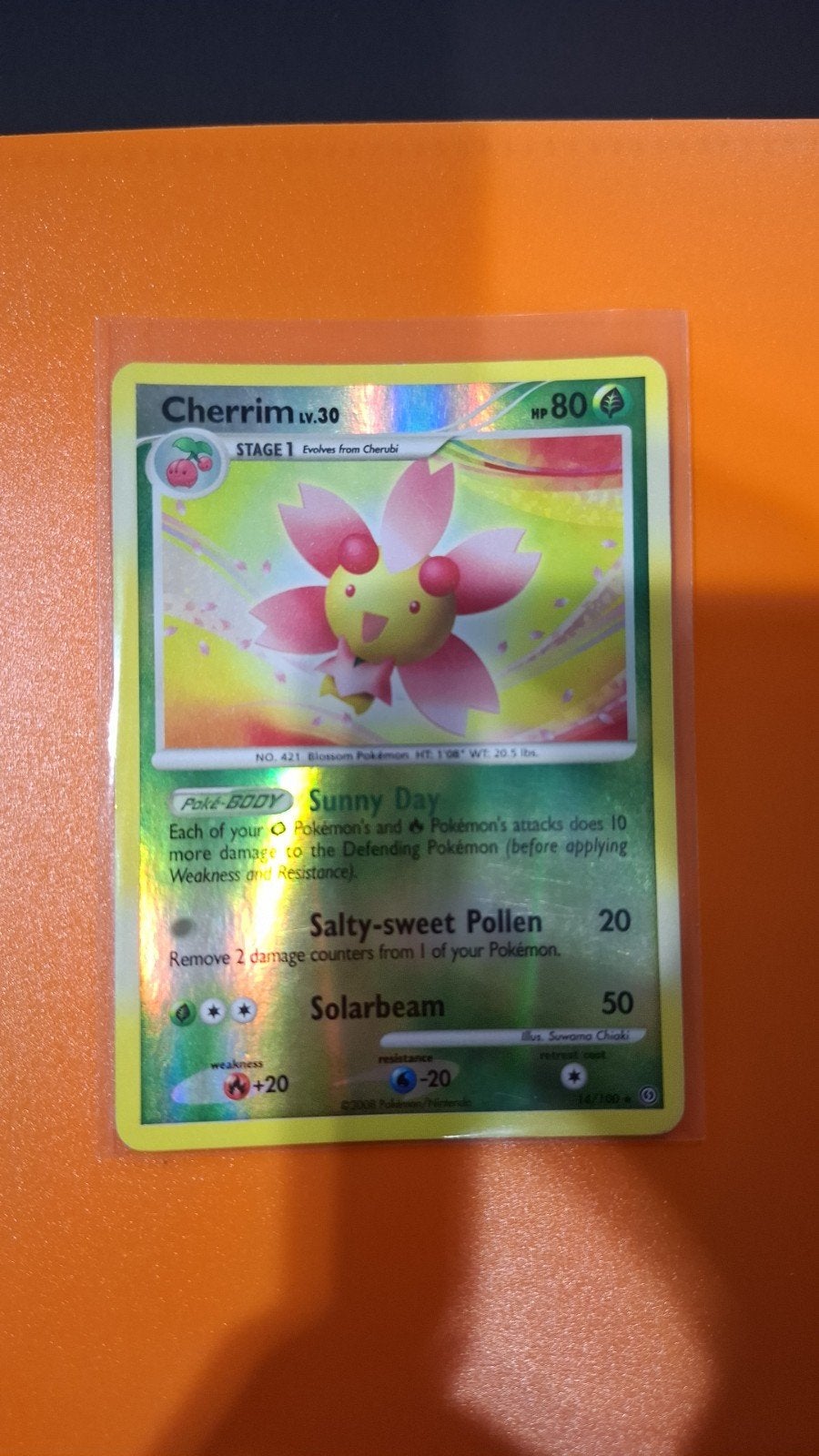 Cherrim, Pokemon, 14/100, Stormfront, Verzenden, Zo goed als nieuw, Losse kaart, Foil