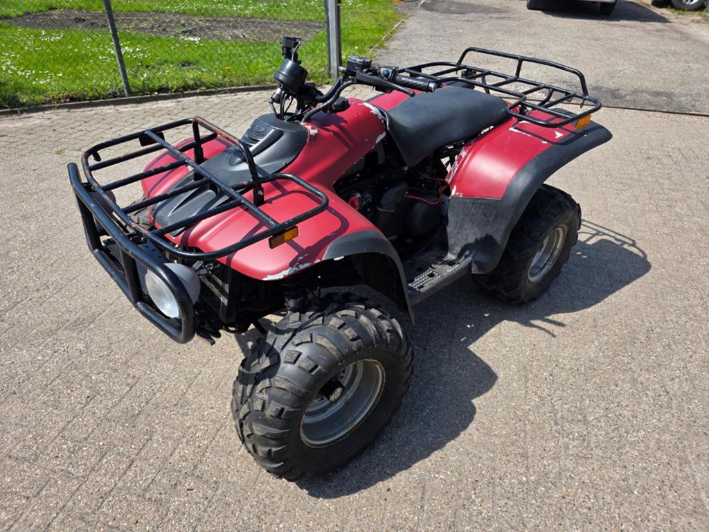 Linhai 300cc Quad automaat 2wd, 1 cilinder, 300 cc, 11 kW of minder