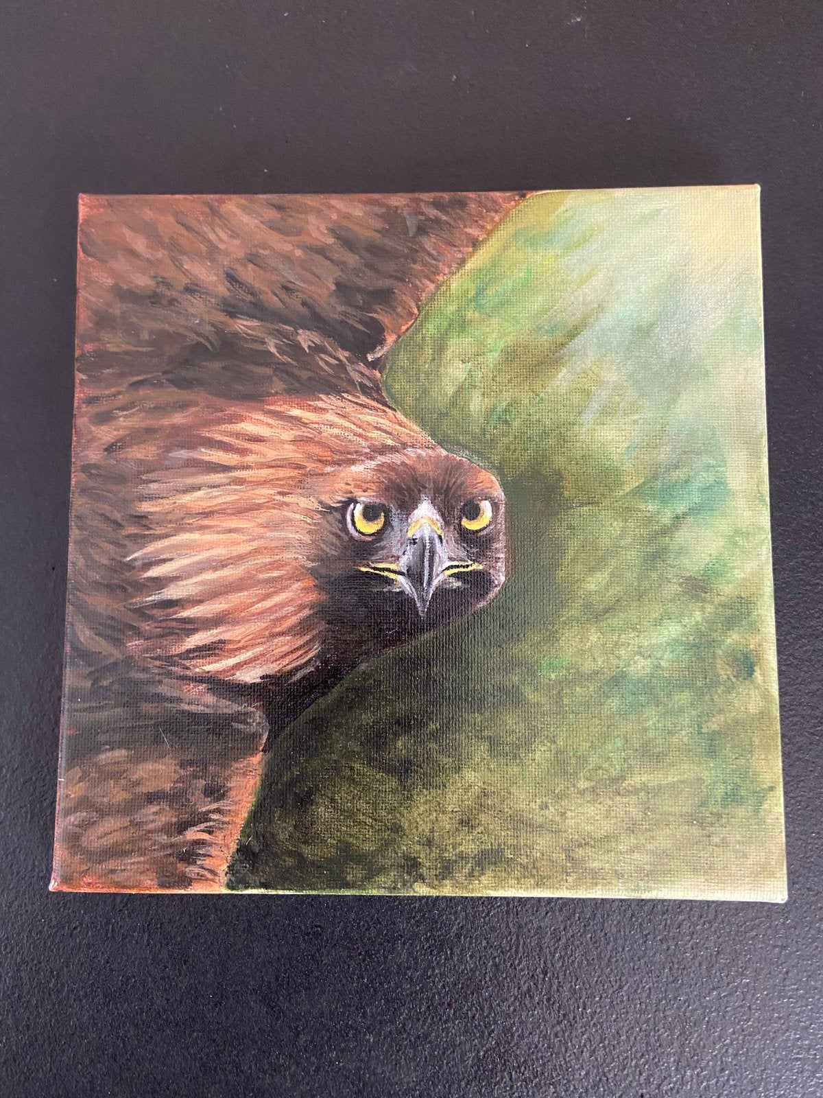 Handgeschilderd schilderij van een majestueuze adelaar, Doek, Realistisch, Dieren, Ophalen of Verzenden