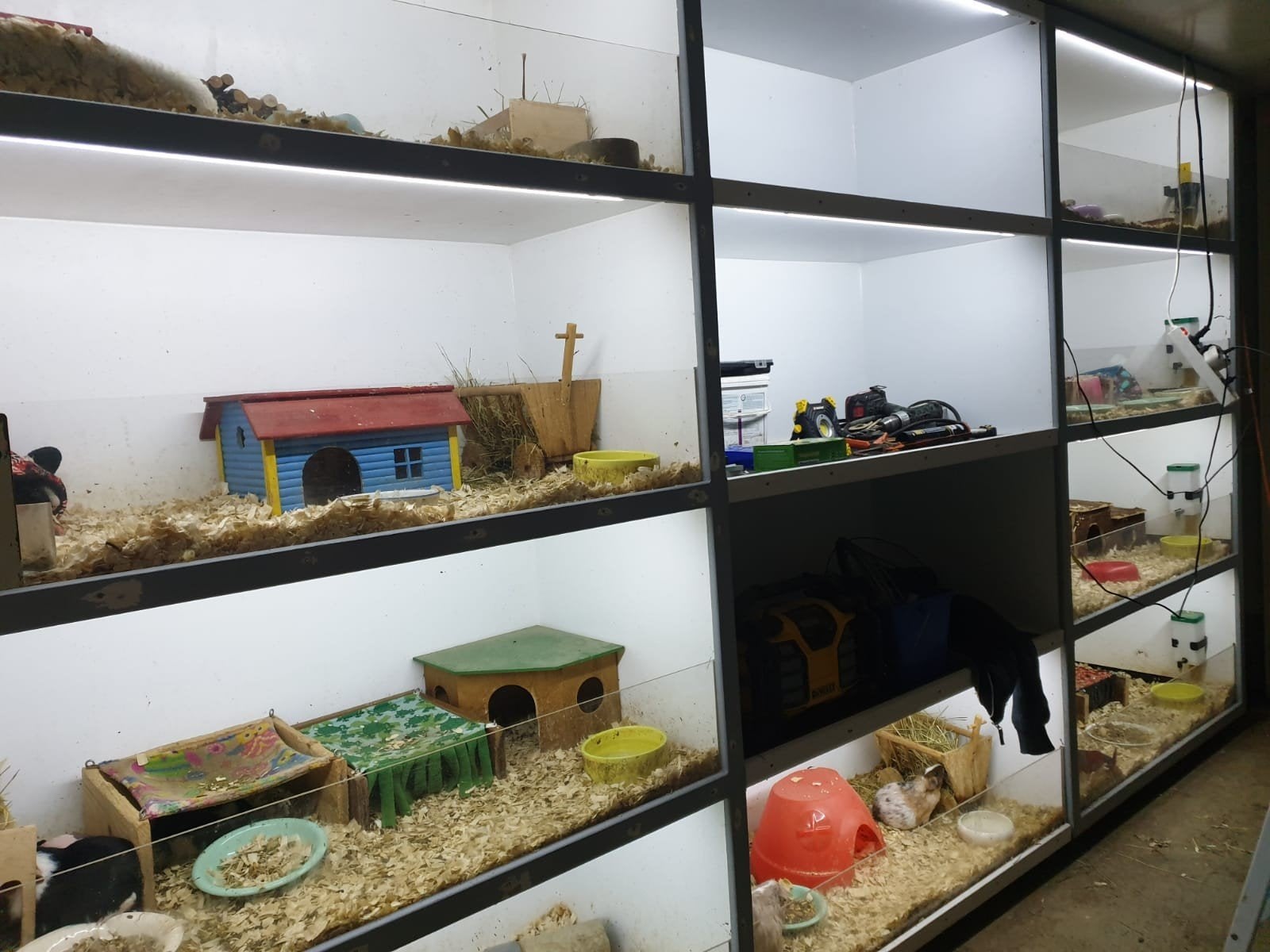 Super grote cavia flat, Dieren en Toebehoren, Knaagdieren en Konijnen | Hokken en Kooien, Ophalen, 90 cm of meer, Hok, Cavia