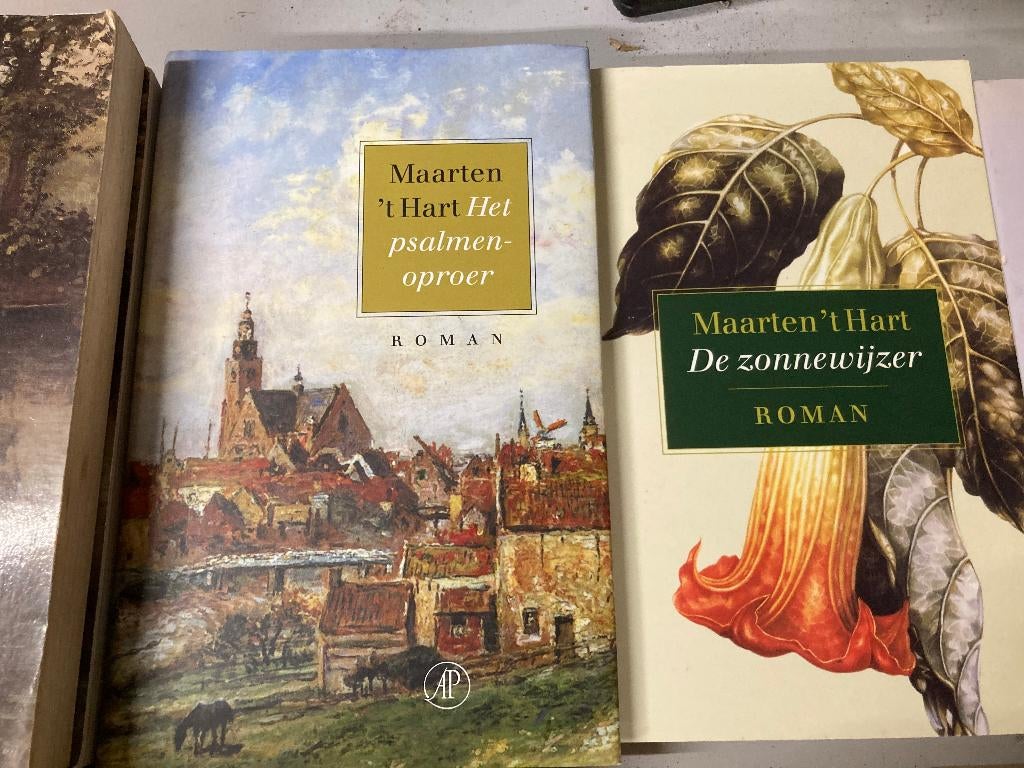 T.K. nog 23 boeken van Maarten 't Hart zie actuele lijst, Ophalen of Verzenden, Gelezen, Maarten 't Hart, Nederland