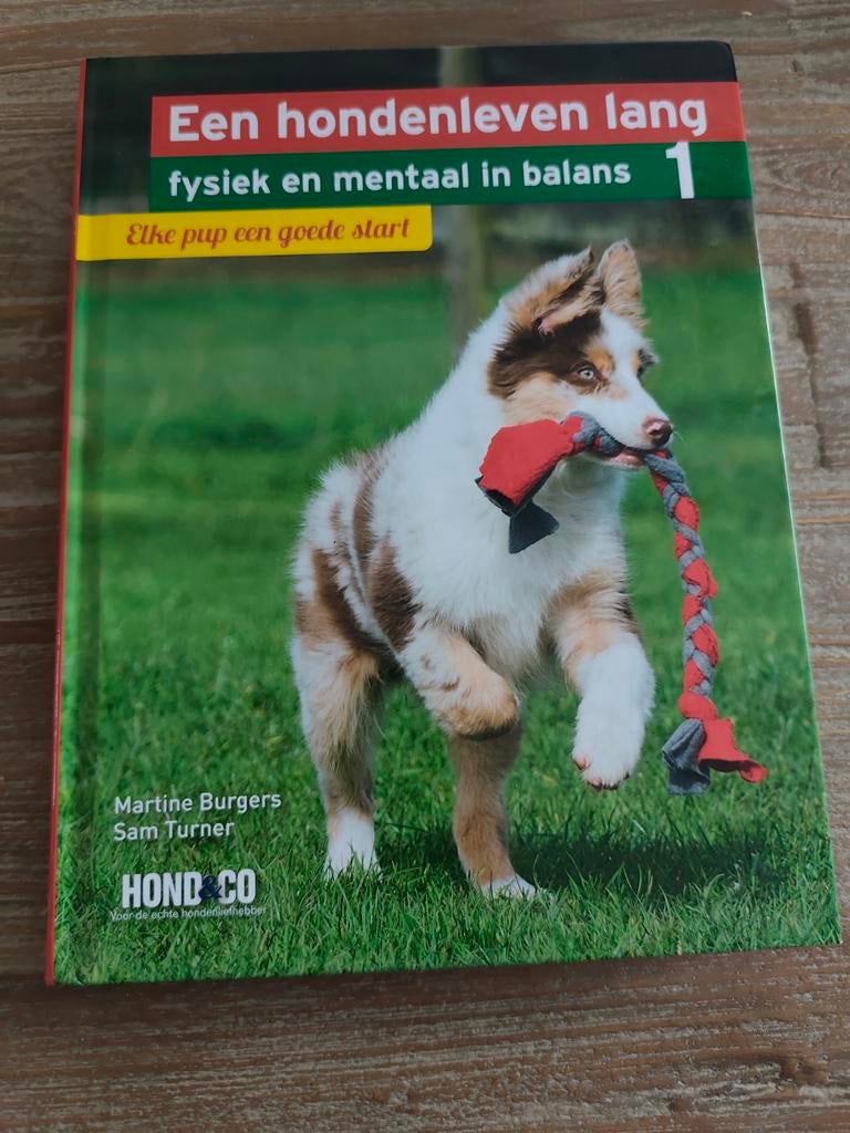 Martine Burgers - Elke pup een goede start, Boeken, Dieren en Huisdieren, Honden, Ophalen of Verzenden, Zo goed als nieuw, Martine Burgers; Sam Turner